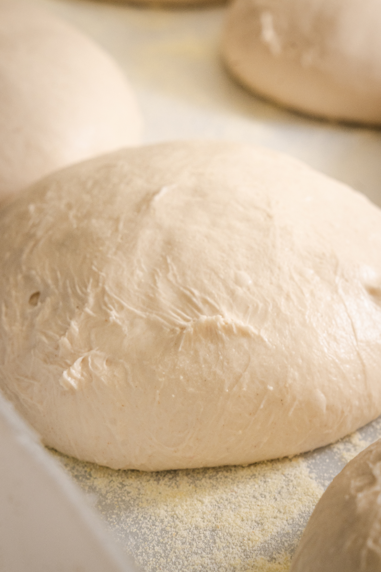 Bola de masa fermentando lista para el horno